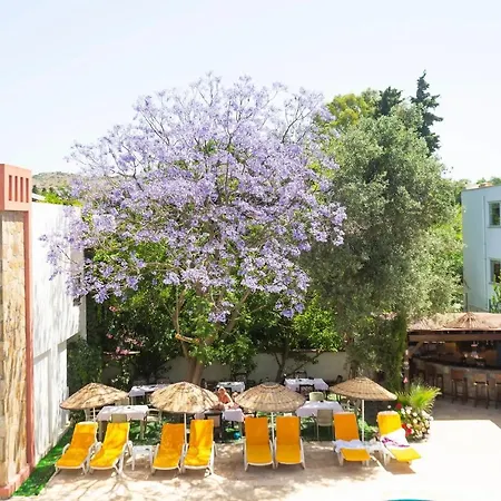 Hotel Kriss Bodrum